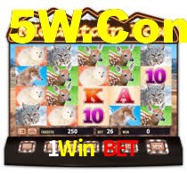 1Win Bet,1Win Bet Paga